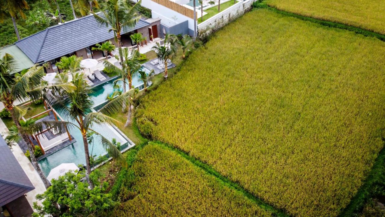 Villa Florentine By Balisuperhost أوبود المظهر الخارجي الصورة