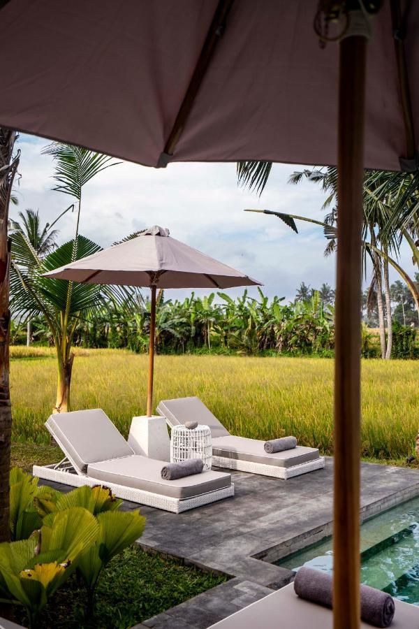 Villa Florentine By Balisuperhost أوبود المظهر الخارجي الصورة